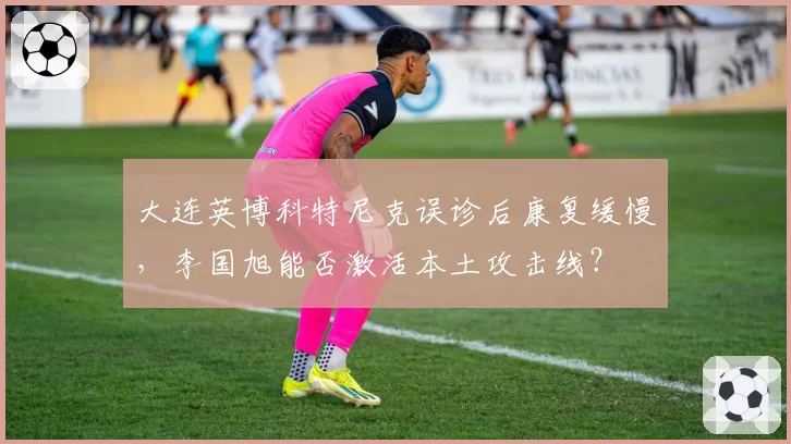 大连英博科特尼克误诊后康复缓慢,李国旭能否激活本土攻击线?