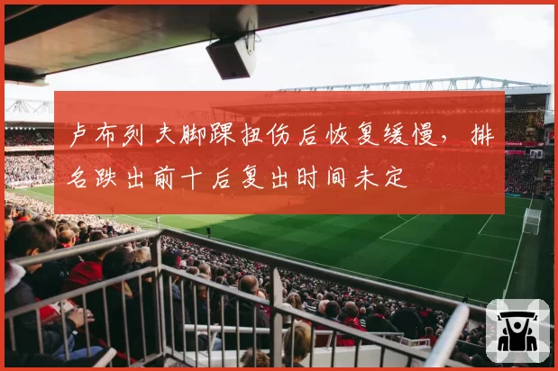 卢布列夫脚踝扭伤后恢复缓慢,排名跌出前十后复出时间未定