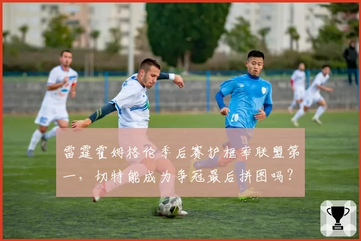 雷霆霍姆格伦季后赛护框率联盟第一,切特能成为争冠最后拼图吗?