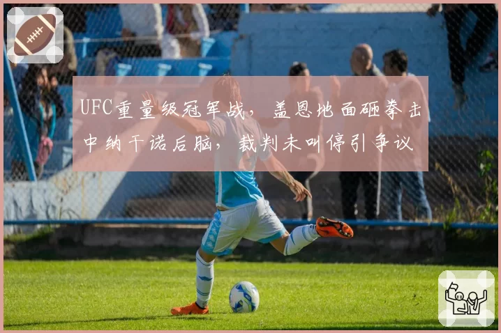 UFC重量级冠军战,盖恩地面砸拳击中纳干诺后脑,裁判未叫停引争议