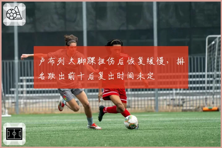 卢布列夫脚踝扭伤后恢复缓慢,排名跌出前十后复出时间未定